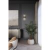 Orrizo Collection Two-Light Wall Sconce